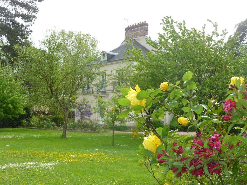 Cedre Et Charme Bed & Breakfast Saint-Branchs Bagian luar foto