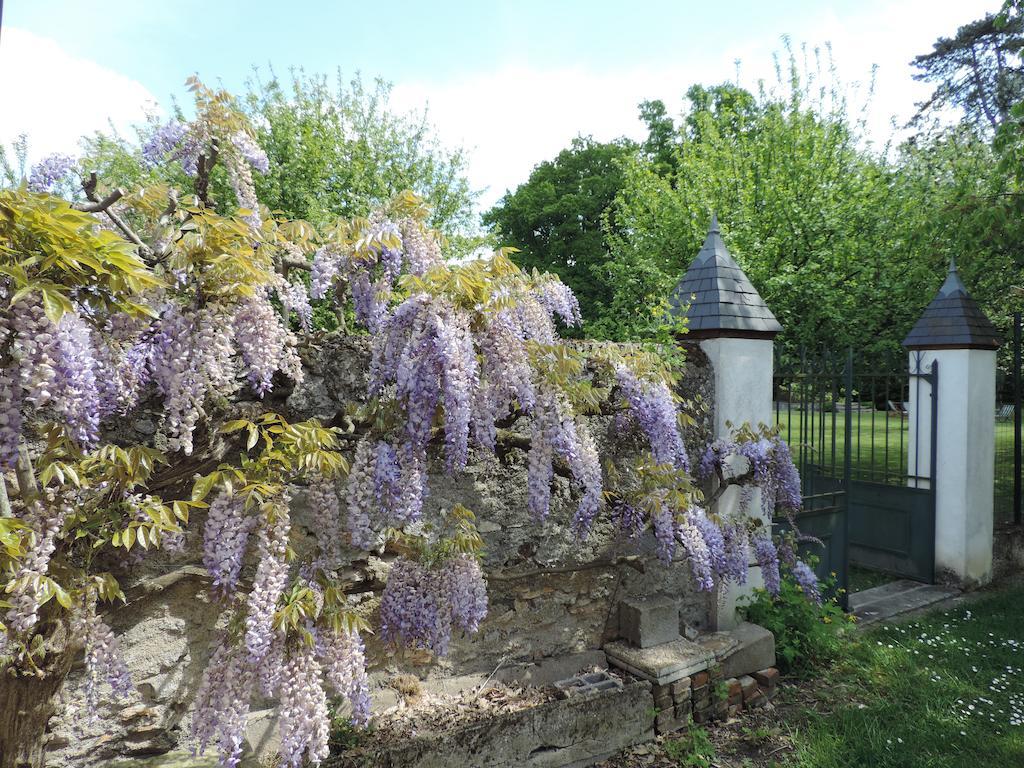 Cedre Et Charme Bed & Breakfast Saint-Branchs Bagian luar foto