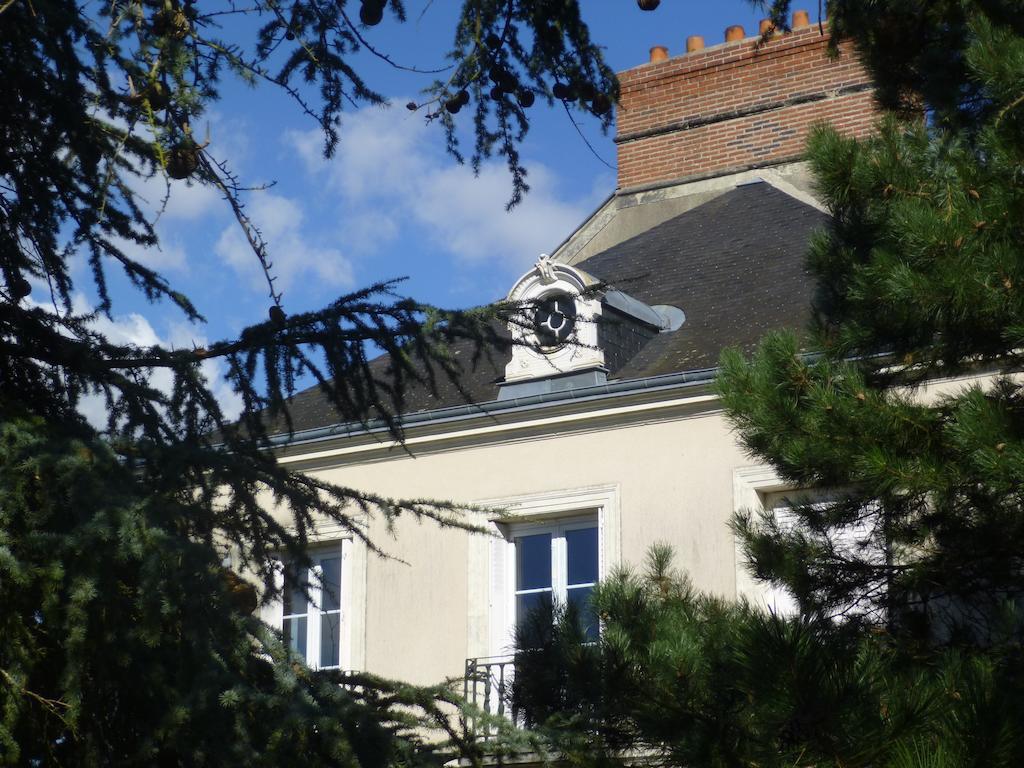 Cedre Et Charme Bed & Breakfast Saint-Branchs Bagian luar foto